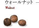 ウォールナット