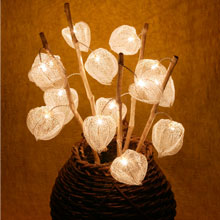 ��߂ق�����